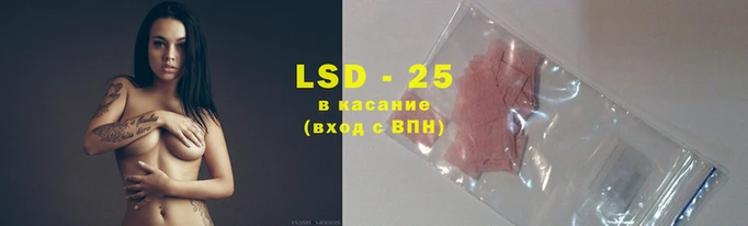 ПСИЛОЦИБИНОВЫЕ ГРИБЫ Армянск