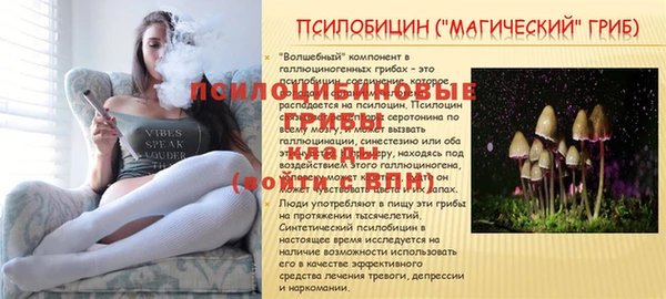 ПСИЛОЦИБИНОВЫЕ ГРИБЫ Армянск