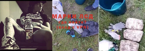 spice Арсеньев