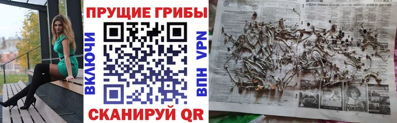 Галлюциногенные грибы Magic Shrooms  Салехард 